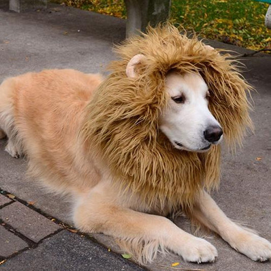 Dog's Lion Wig