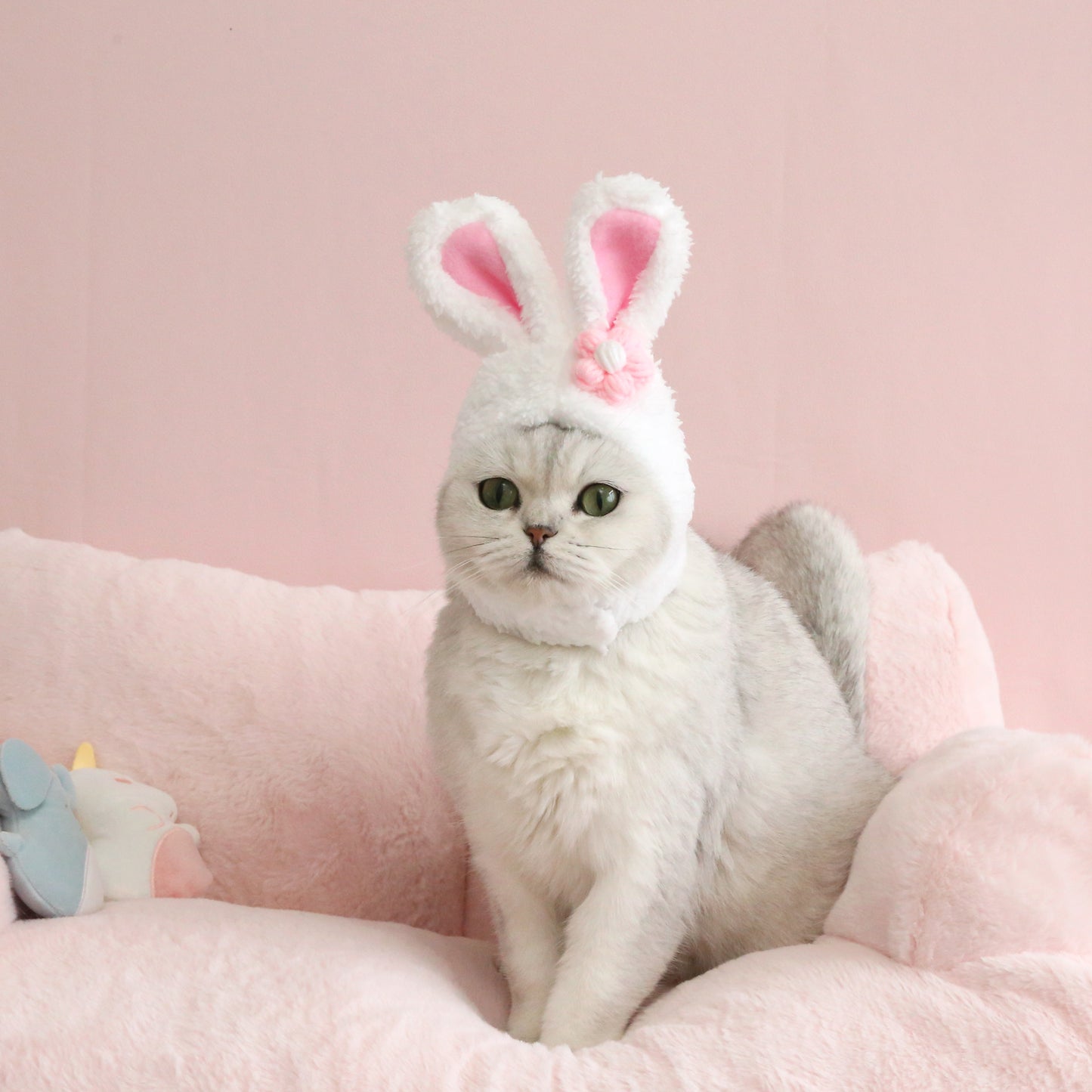 Cat's Rabbit Ears Hat