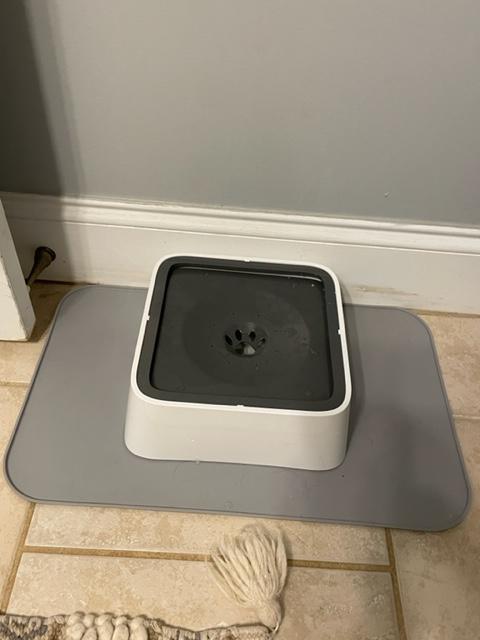 PuppHub Dog & Cat Drinking Water Bowl