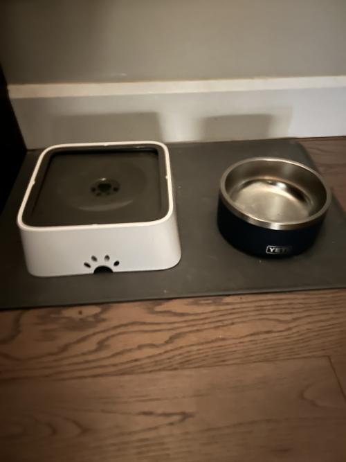 PuppHub Dog & Cat Drinking Water Bowl