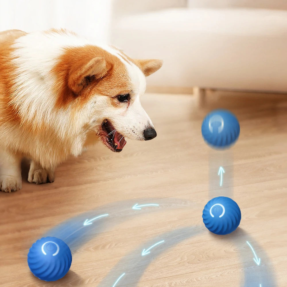 Automatic Bouncing Ball for Dog