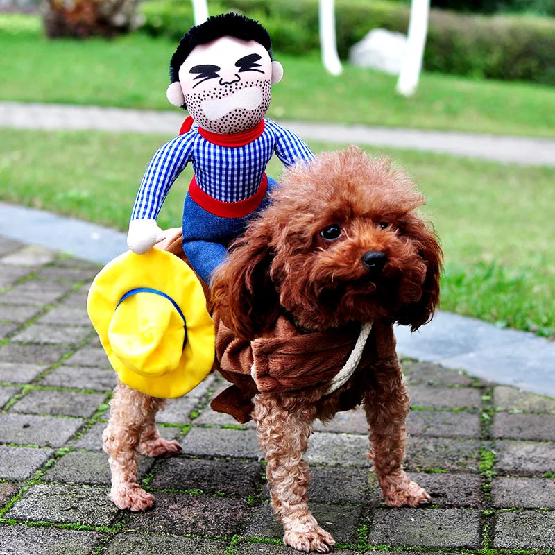 Funny Dog Jacket Costumes