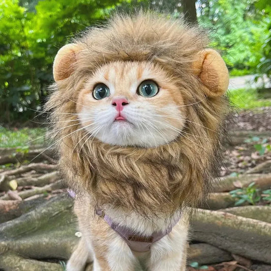 Cat Lion Funny Wig