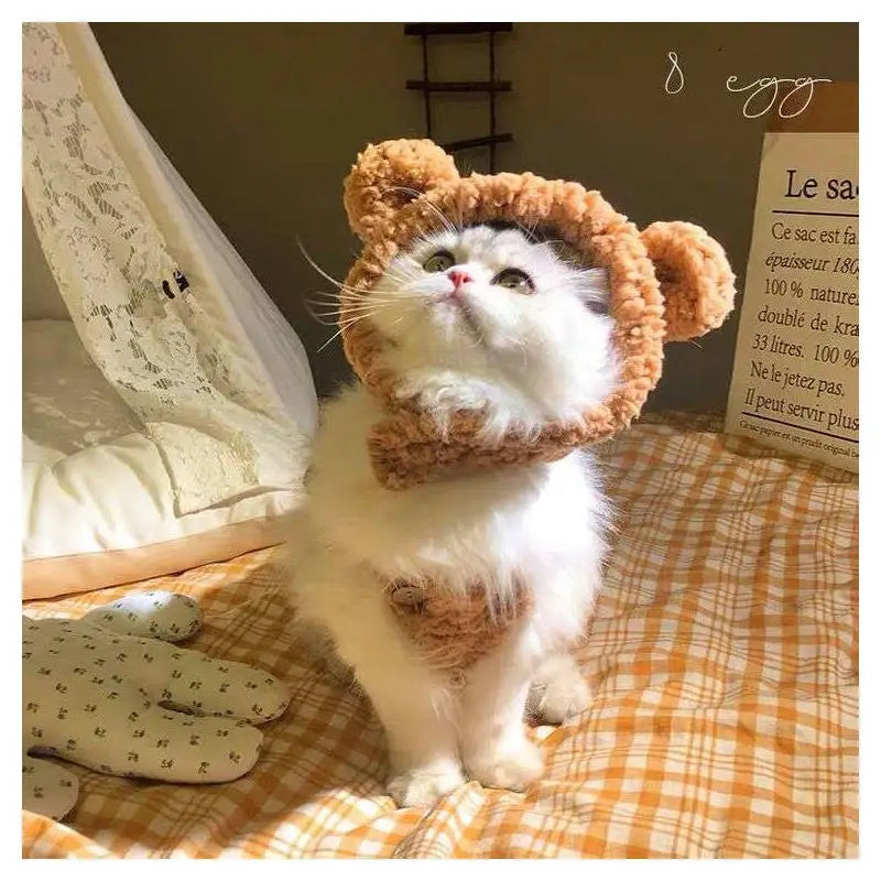 Cute Hair Loop for Cat